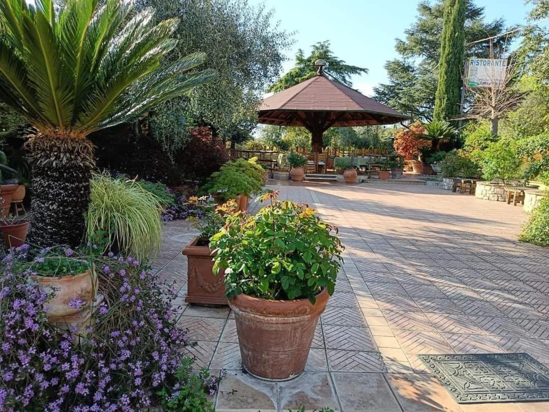 Guest House Romana Vecchia Monticchio  Ngoại thất bức ảnh